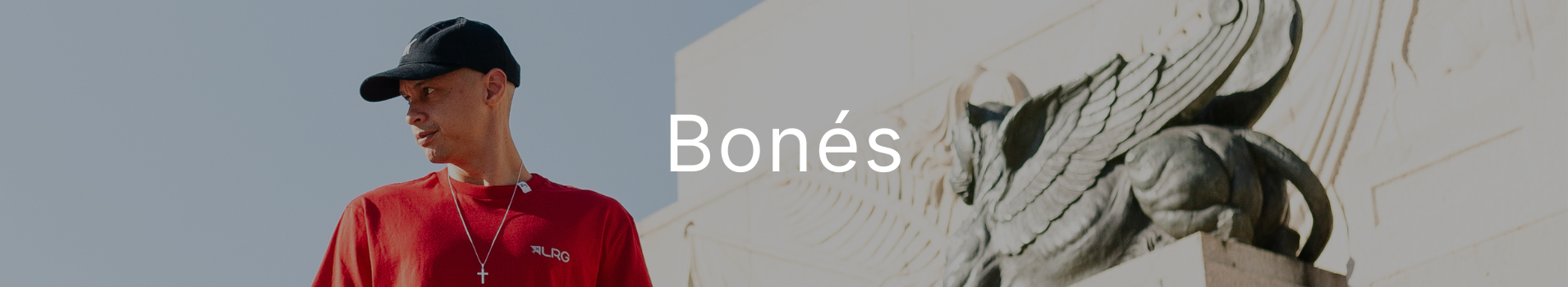 Banner página de categoria